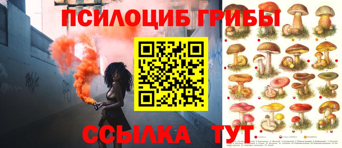 Псилоцибиновые грибы мицелий Севастополь